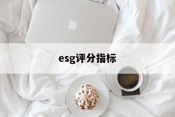 esg评分指标(esspri评分)